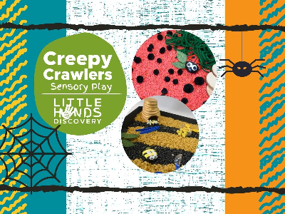 Creepy Crawlies Sensory Play (18 months-6 years) Creepy Crawlies Sensory Play (18 months-6 years)